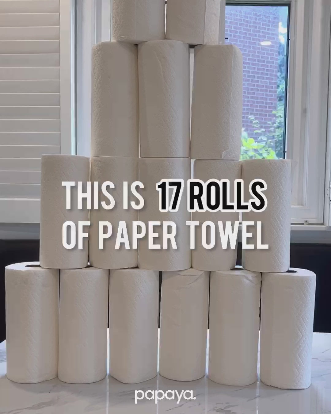 Papaya - Reusable Paper Towels - Mod Papayas 2pk – Colorado Baby